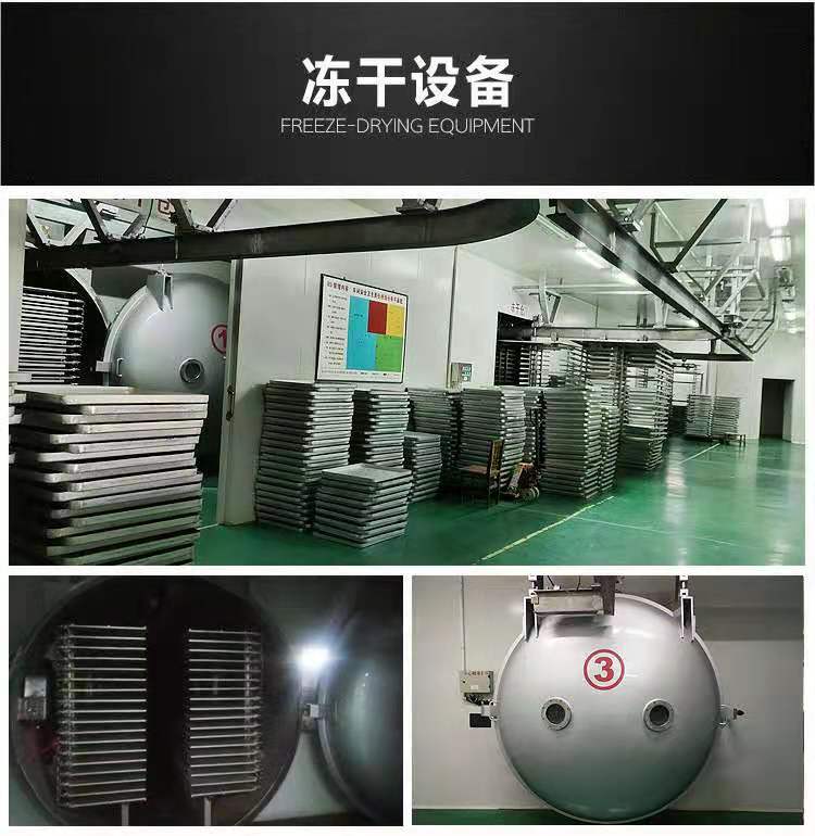 广州食品冻干机